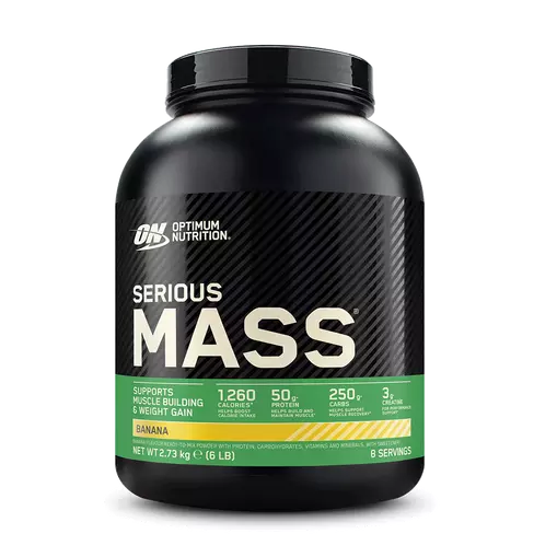 Optimum Nutrition Serious Mass Weight Gainer Protein Powder