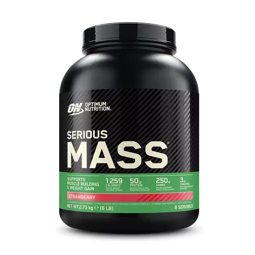 Optimum Nutrition Serious Mass Weight Gainer Protein Powder