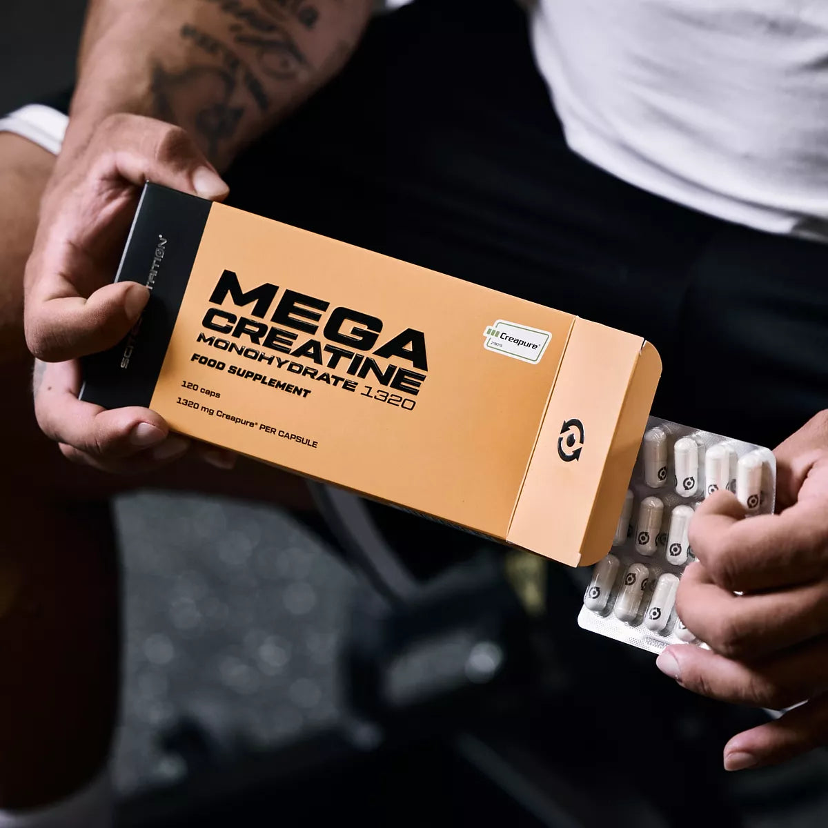 Scitec Nutrition Mega Creatine Monohydrate 1320 (120 caps)